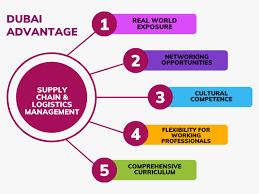 Dubai’s Role in the Supply Chain